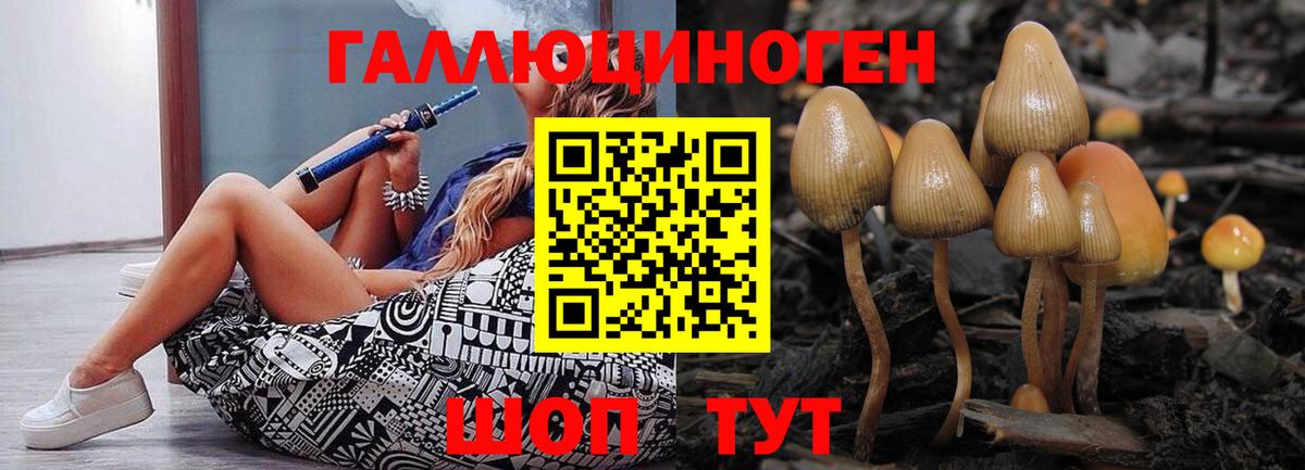 Галлюциногенные грибы MAGIC MUSHROOMS Кудымкар