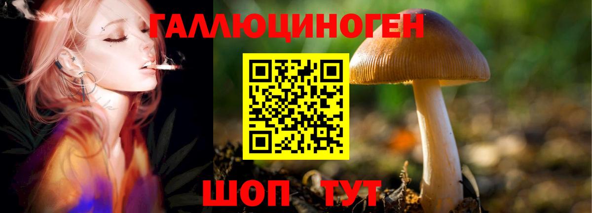 где купить наркоту  Галлюциногенные грибы Cubensis  Вход с VPN  Кудымкар 